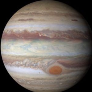 Meet your Posher, Jay